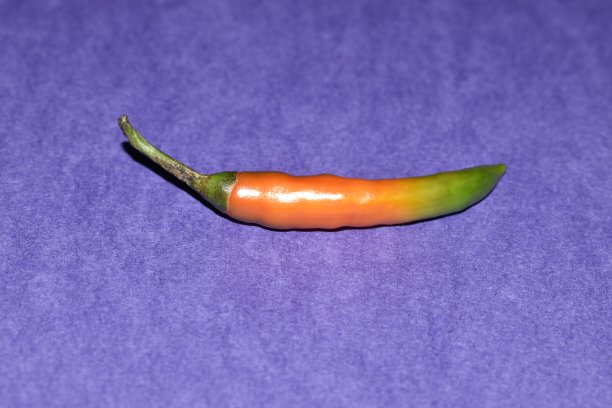 cayenne