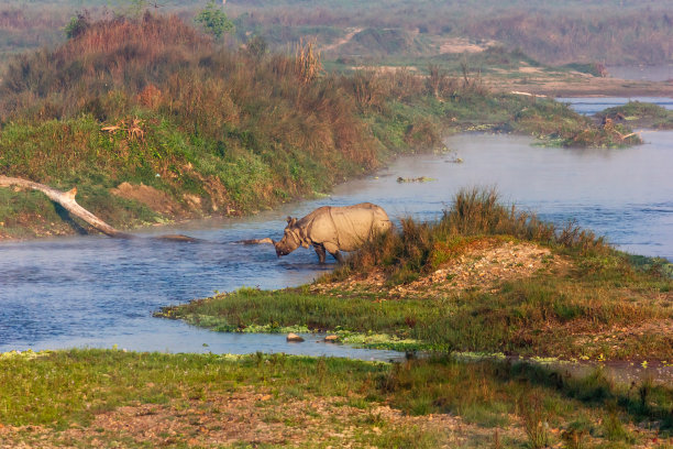 chitwan