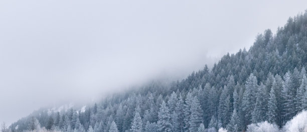 荒山雪景