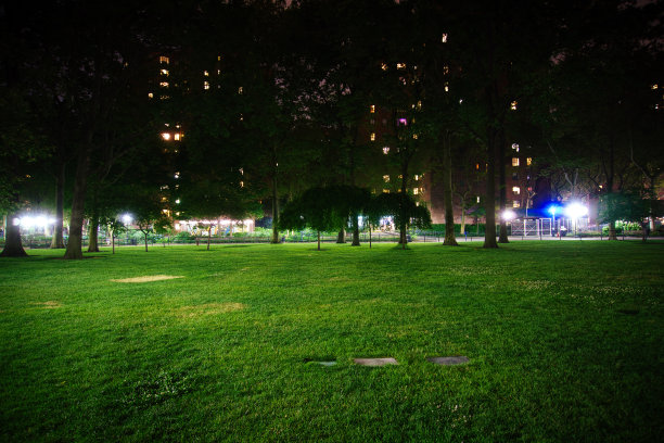 植物夜景