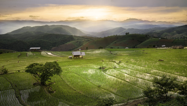 梯田旅游