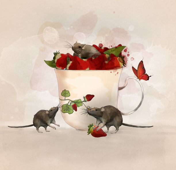 草莓仙女
