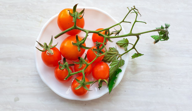 新鲜小蕃茄圣女果蔬菜水果