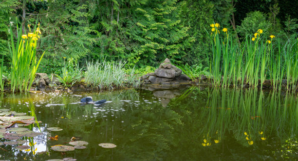 圆形水池景观