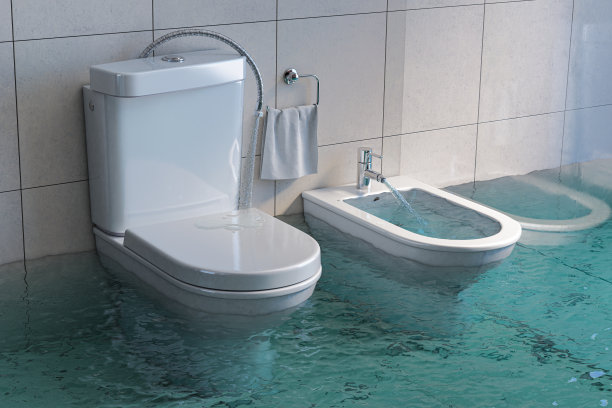 bidet
