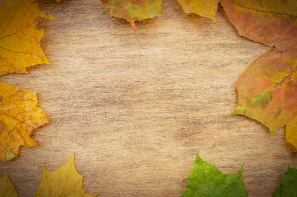 秋天的叶子图案在木板上