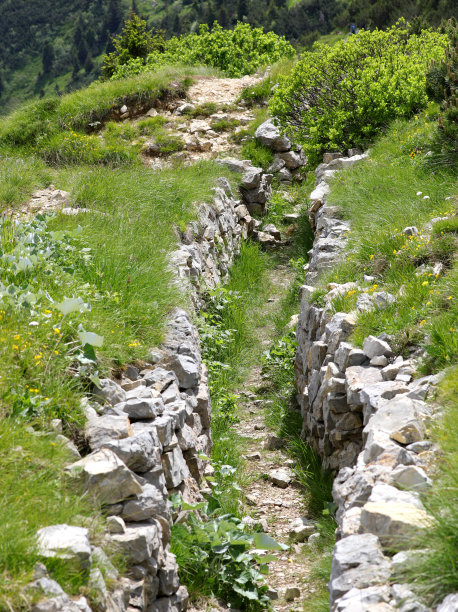 ditch