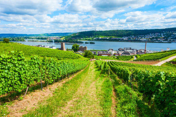 rudesheim