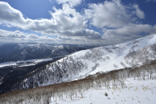 北海道冬景 
