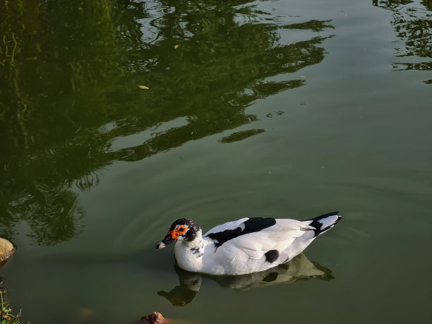 湖景浴缸