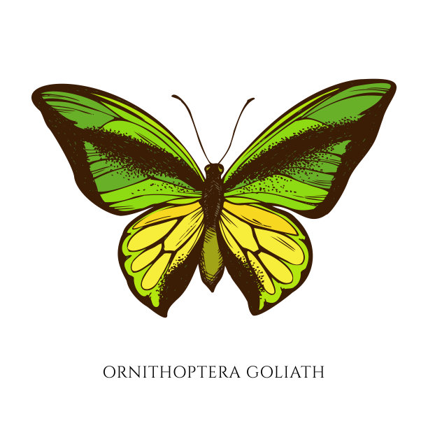goliath