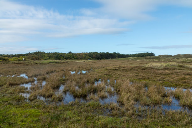 _texel