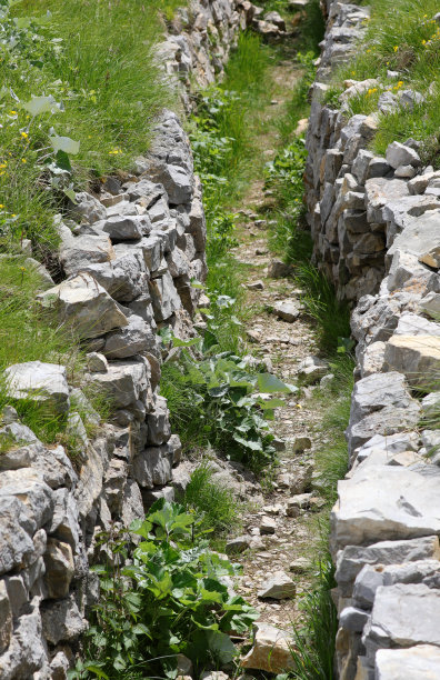 ditch