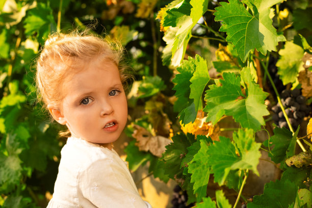 摘葡萄的少女