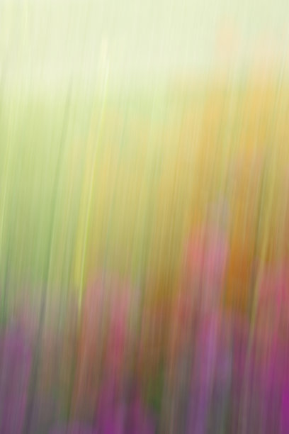 橙红色花朵条纹背景图案