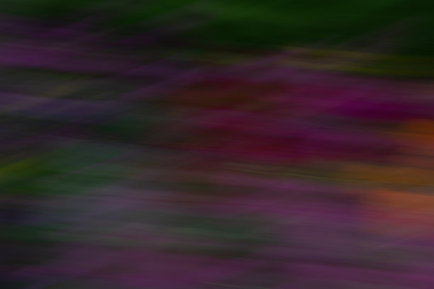 橙红色花朵条纹背景图案