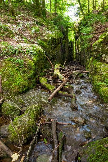 ditch
