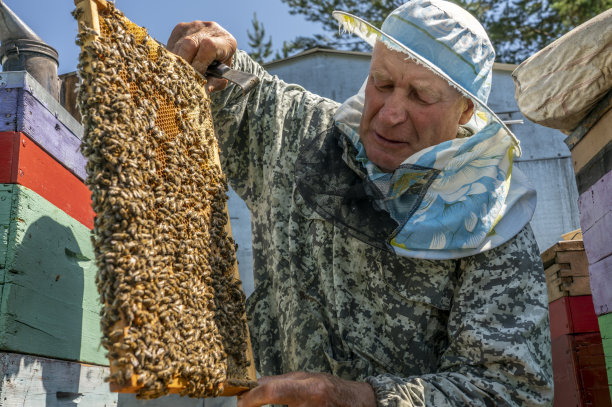 beekeeper