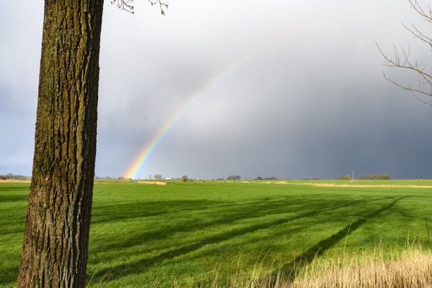 kampen