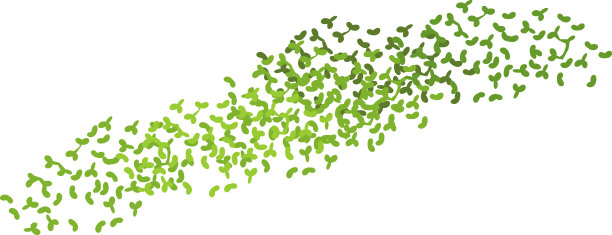 duckweed
