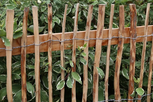 fence