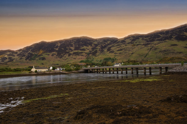 donan