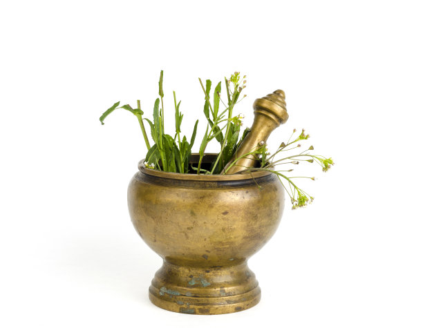 ayurveda