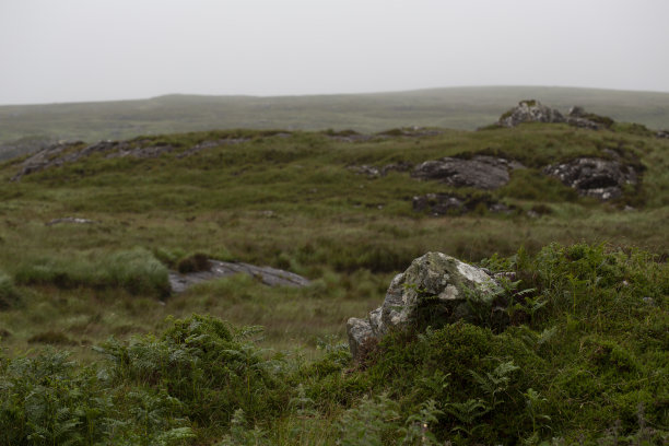 galway