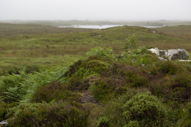 galway