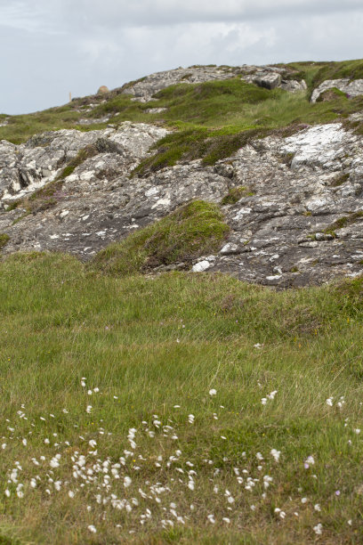 galway