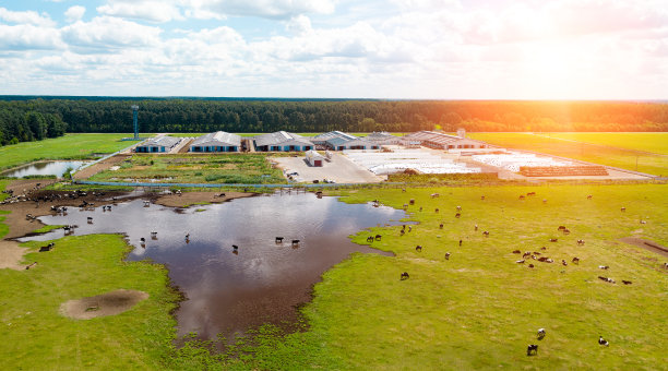 farm