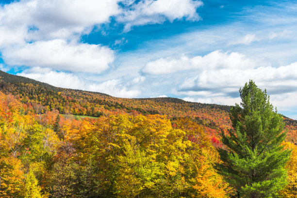 stowe