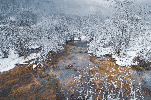 九寨沟森林溪流冬季