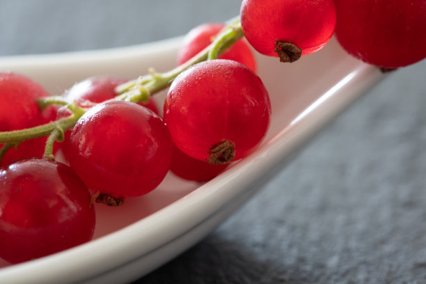 redcurrant