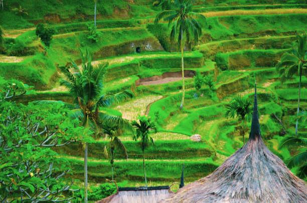denpasar