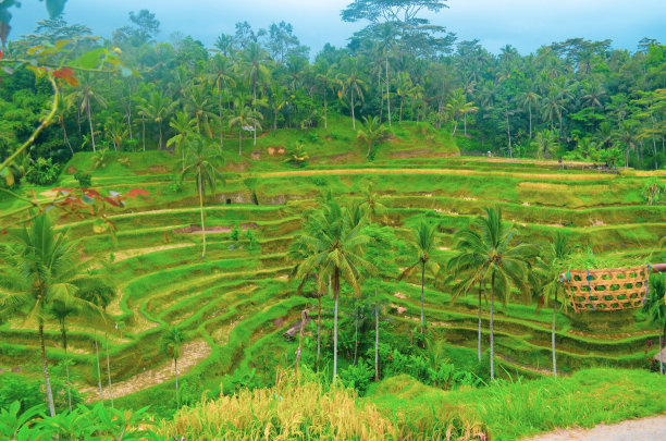denpasar