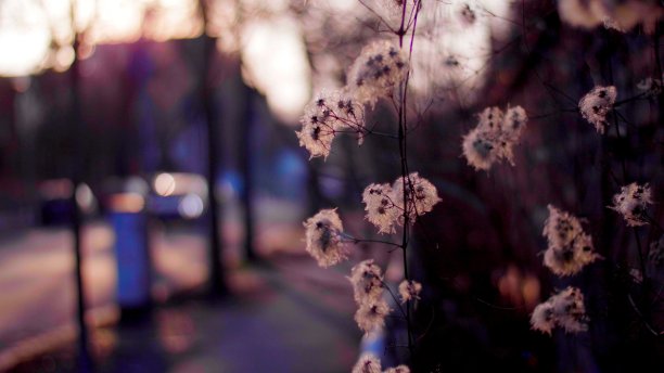fragile