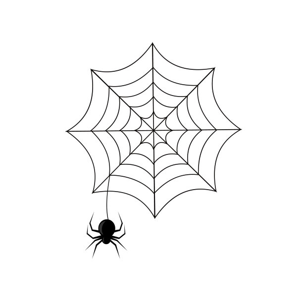 spider