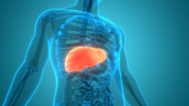 什么是病毒性肝炎