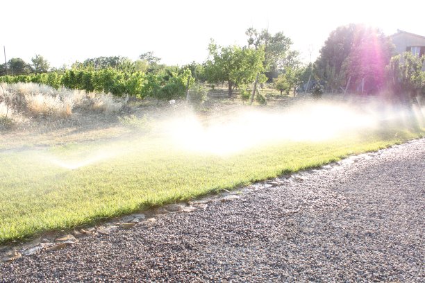 sprinkler