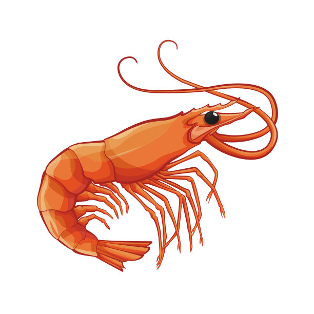 shrimp