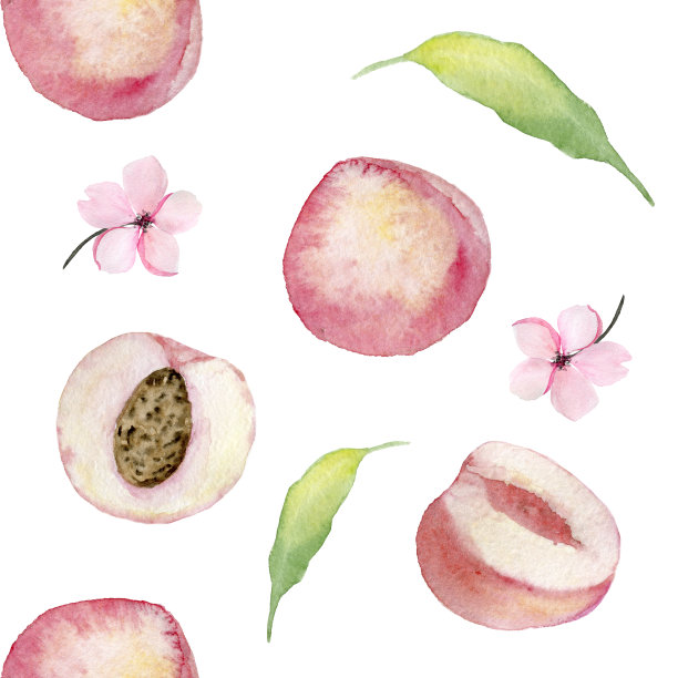 水蜜桃插画素材