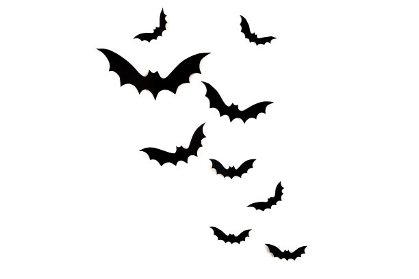 bat
