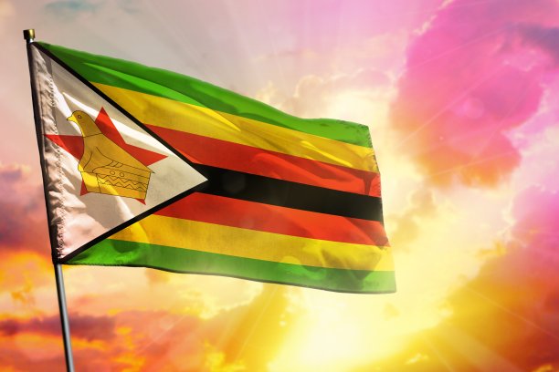 zimbabwean