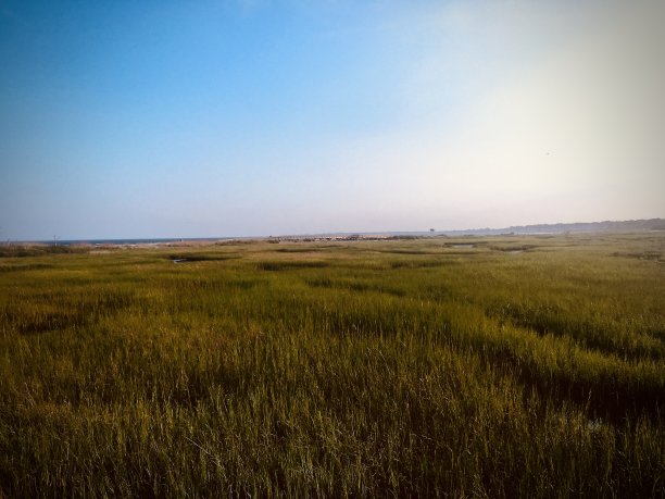 milford