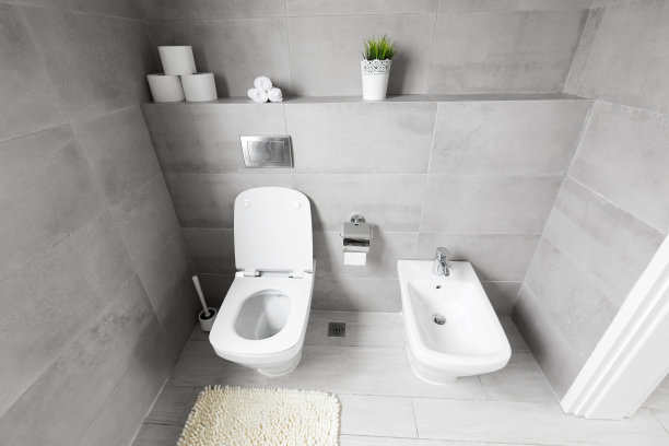 bidet