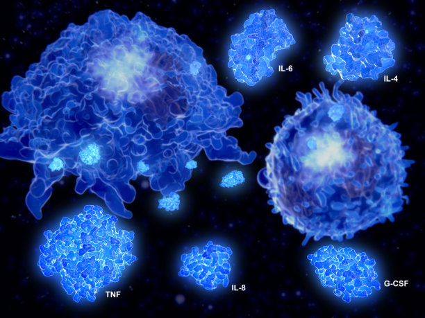 cd4