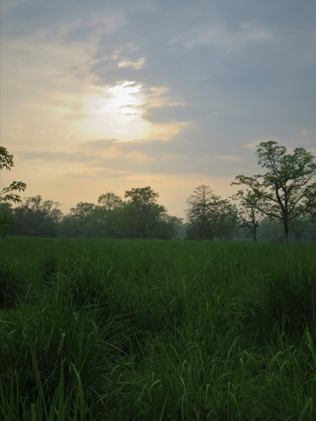chitwan
