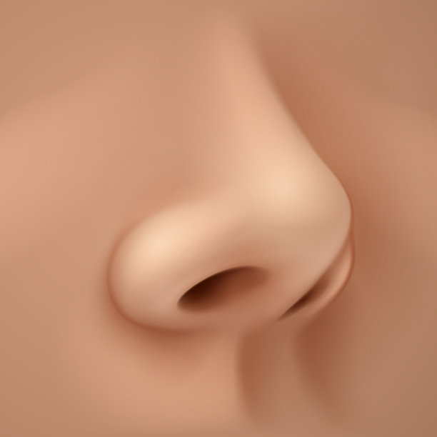 nose