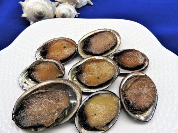 abalone